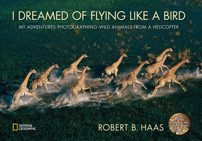 Cover of I Dreamed of Flying Like A Bird