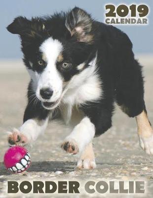 Book cover for Border Collie 2019 Calendar