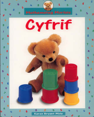 Cover of Cyfrif Big Book