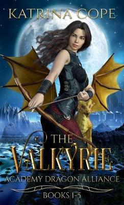 Book cover for Valkyrie Academy Dragon Alliance