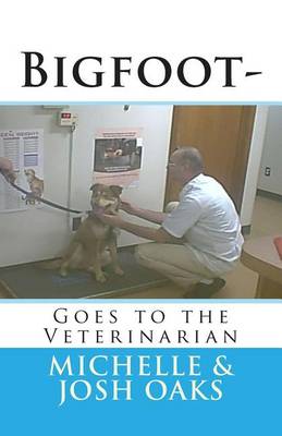 Book cover for Bigfoot-Goes to the Veterinarian