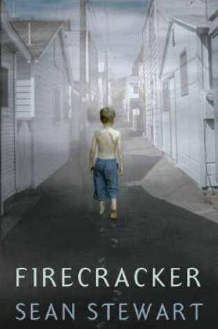 Cover of Firecracker