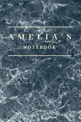 Book cover for Amelia's Notebook