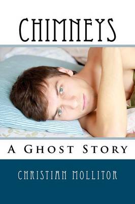 Book cover for Chimneys