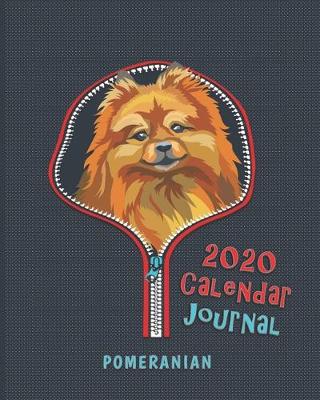 Book cover for Pomeranian