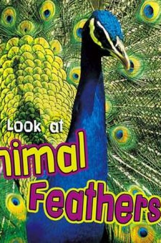 Cover of Let's Look at Animal Feathers