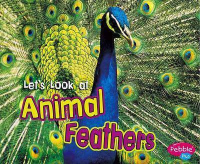 Book cover for Let's Look at Animal Feathers