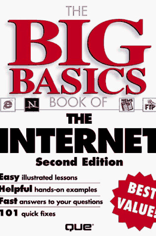 Cover of The Big Basics Book of the Internet