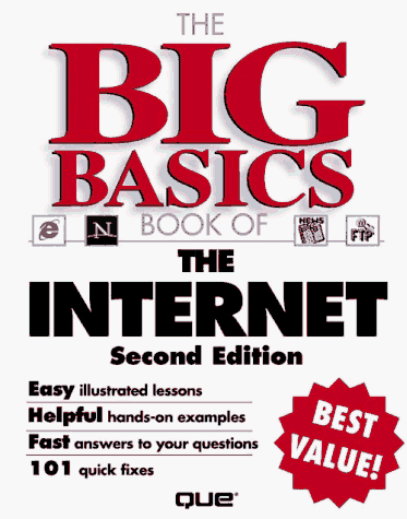 Book cover for The Big Basics Book of the Internet