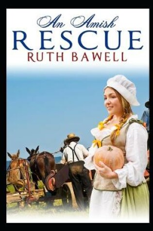 Cover of An Amish Rescue