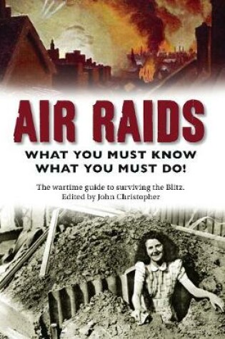 Cover of Air Raids