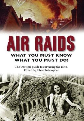 Book cover for Air Raids