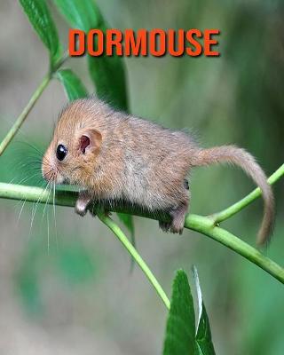 Book cover for Dormouse