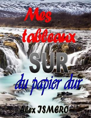 Book cover for Mes Tableaux Sur Du Papier Dur