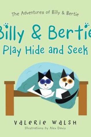 Cover of Billy & Bertie Play Hide and Seek