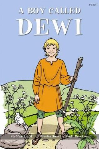 Cover of Boy Called Dewi, A