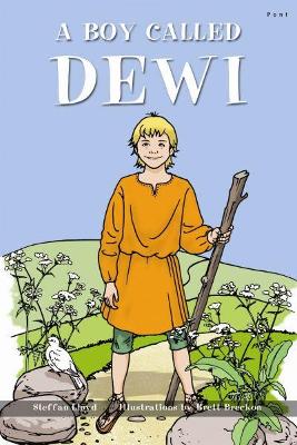 Book cover for Boy Called Dewi, A