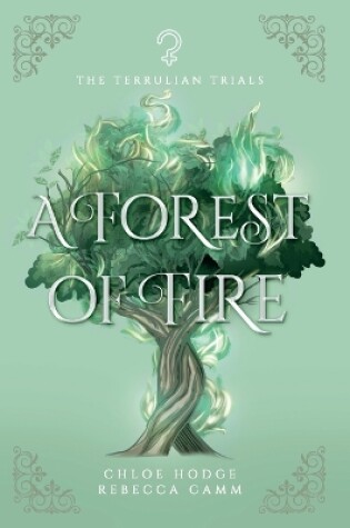 Cover of A Forest of Fire