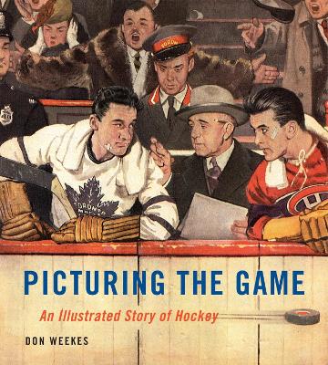 Book cover for Picturing the Game