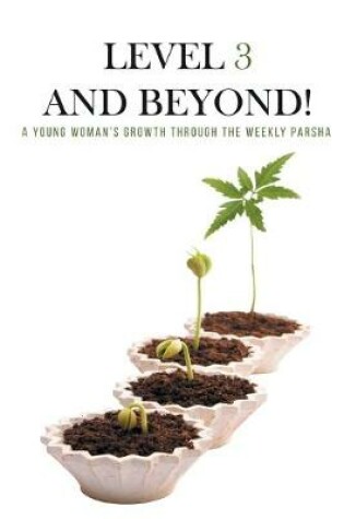 Cover of Level Three and Beyond