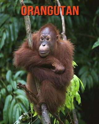 Book cover for Orangutan