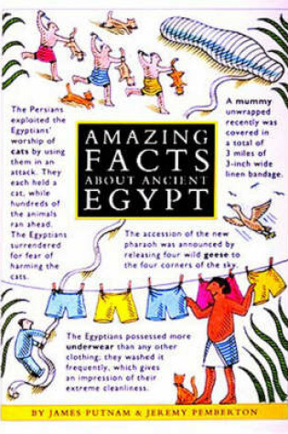 Cover of Amazing Facts About Ancient Egypt