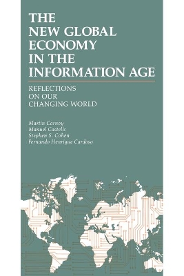 Book cover for The New Global Economy in the Information Age