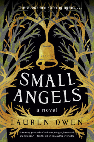 Cover of Small Angels