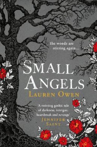 Cover of Small Angels