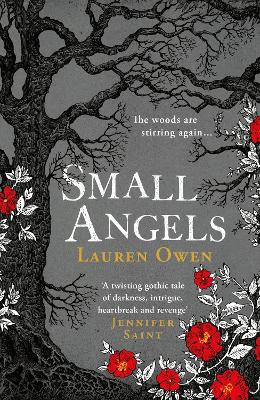 Book cover for Small Angels