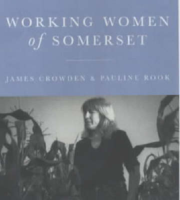 Book cover for Working Women of Somerset