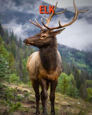 Book cover for Elk