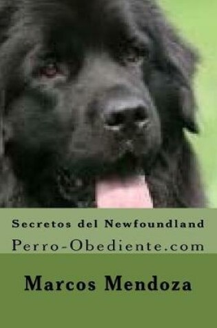 Cover of Secretos del Newfoundland