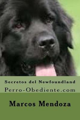 Book cover for Secretos del Newfoundland