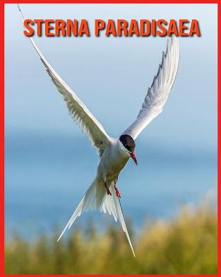 Book cover for Sterna Paradisaea