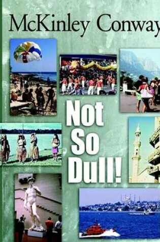 Cover of Not So Dull!