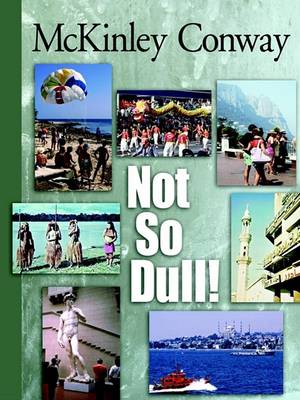 Book cover for Not So Dull!