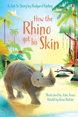 Book cover for How the Rhino got his Skin