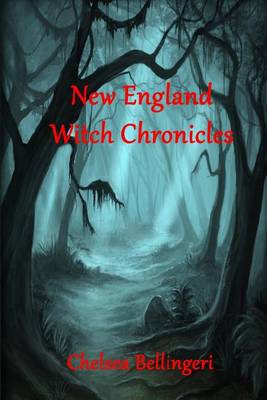 Book cover for New England Witch Chronicles