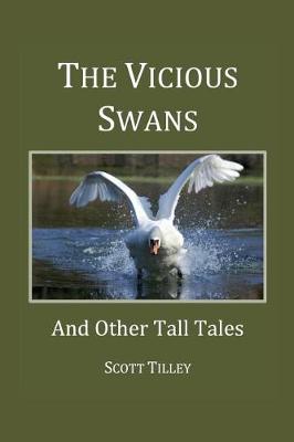Book cover for The Vicious Swans