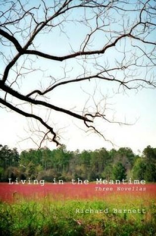 Cover of Living in the Meantime