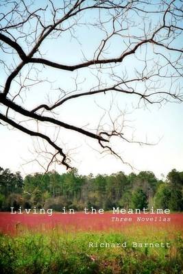 Book cover for Living in the Meantime