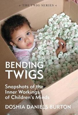 Book cover for Bending Twigs
