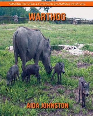 Book cover for Warthog