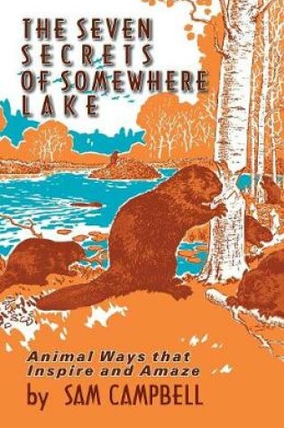 Cover of The Seven Secrets of Somewhere Lake