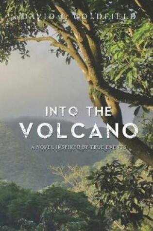 Cover of Into the Volcano