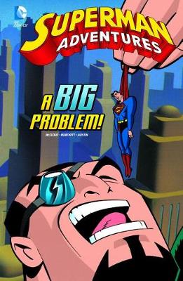Book cover for A Big Problem!