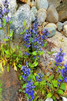 Book cover for 2020 Weekly Planner Purple Flowers Against Rocks 134 Pages