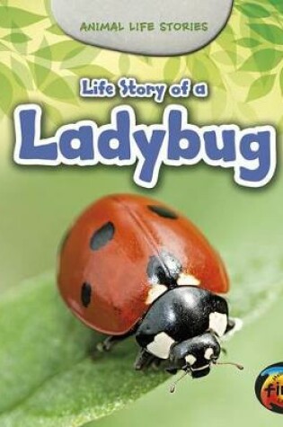 Cover of Life Story of a Ladybug