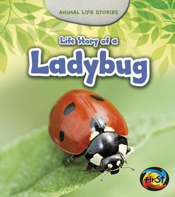 Cover of Life Story of a Ladybug